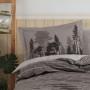 Постельное белье HOBBY поплин TULLY коричневый